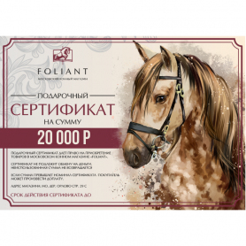 20 000 рублей